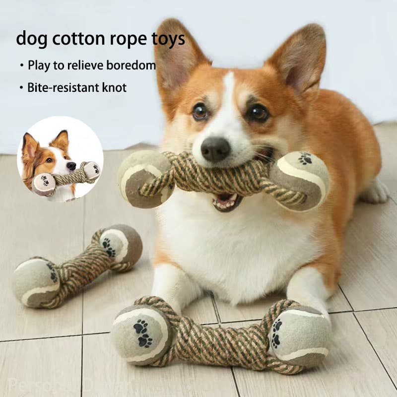 Jouet Interactif Chien Corde et Balle — Stimulation et Amusement Garanti